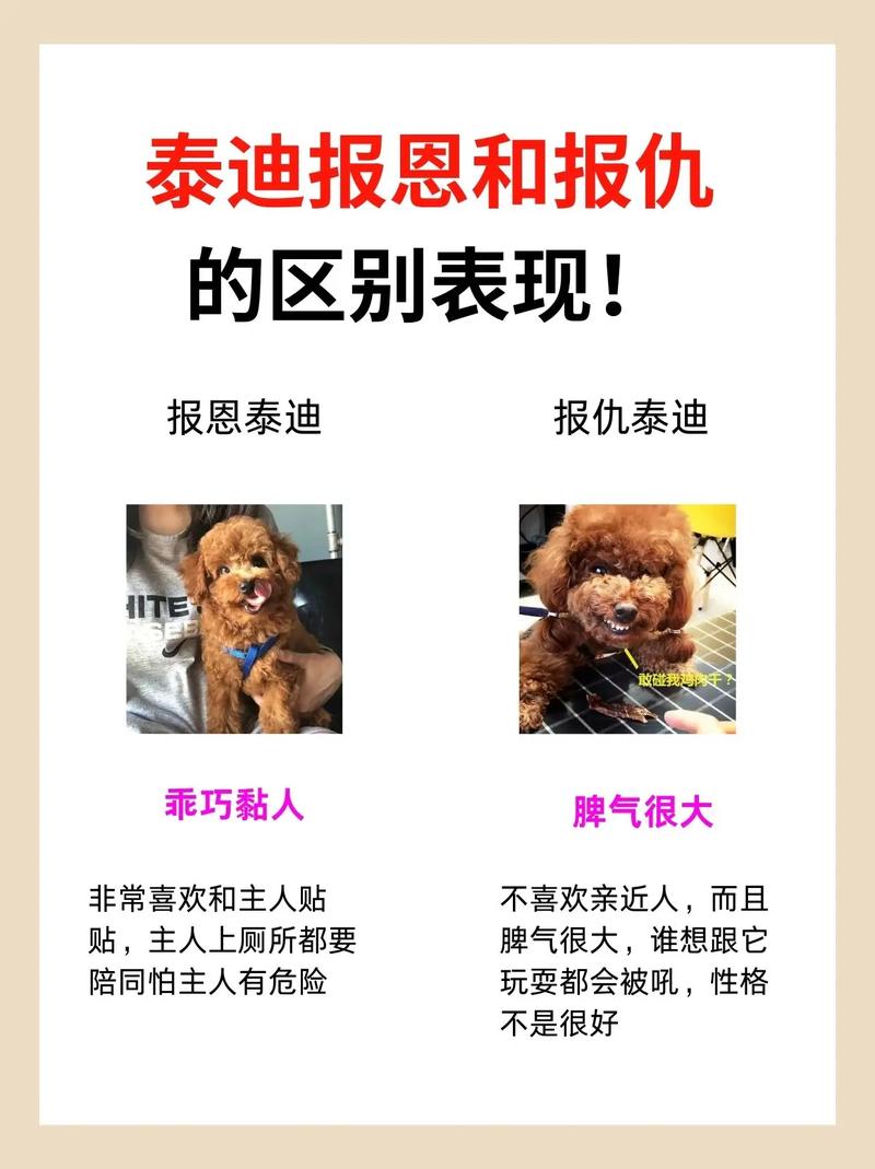 星期狗一般养几天才能看出来?打了兴奋剂的狗狗是什么表现?