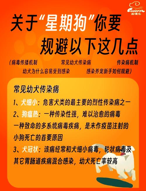 领养的狗狗不听管教怎么办