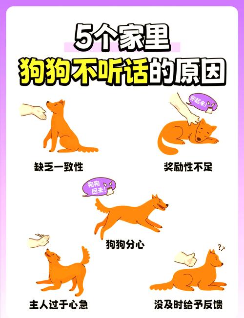 三个月的小狗天天挨打会怎么样啊