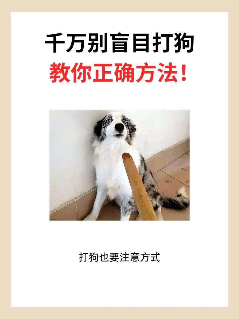 天天打狗会怎么样?