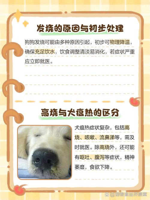 如何判断狗狗发烧