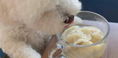 狗能吃荤香肉的饺子吗?