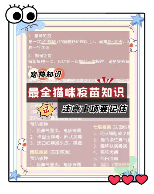 给猫咪注射疫苗前需注意什么?