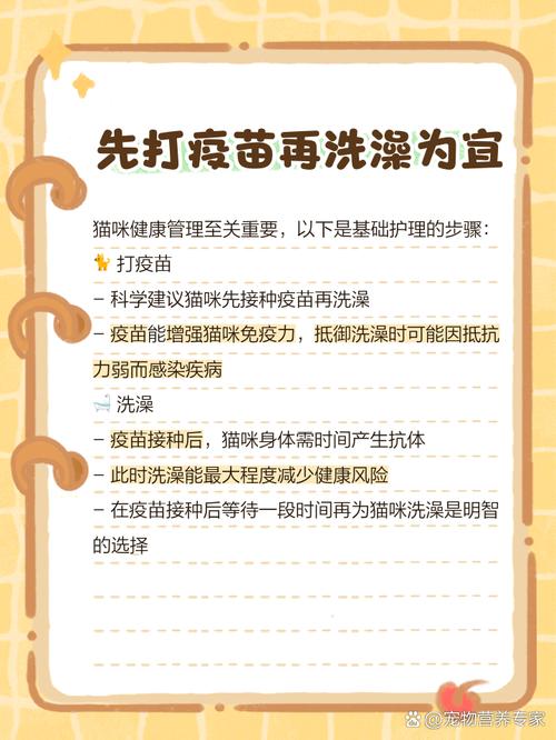 猫打针之前能洗澡吗