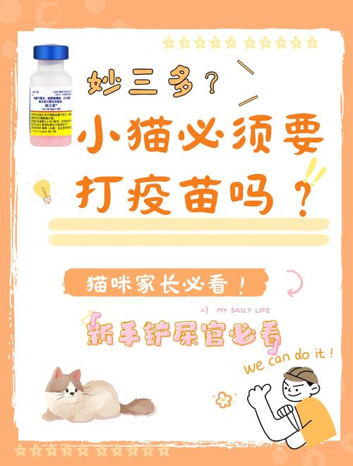 猫咪打疫苗之前能不能洗澡