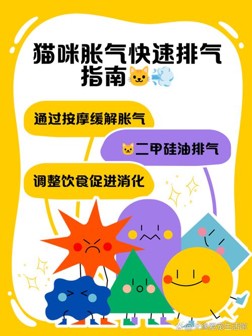 小猫涨肚怎么办小猫涨肚子怎么办