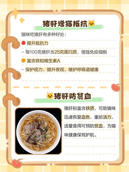 猫吃猪肝好不好?