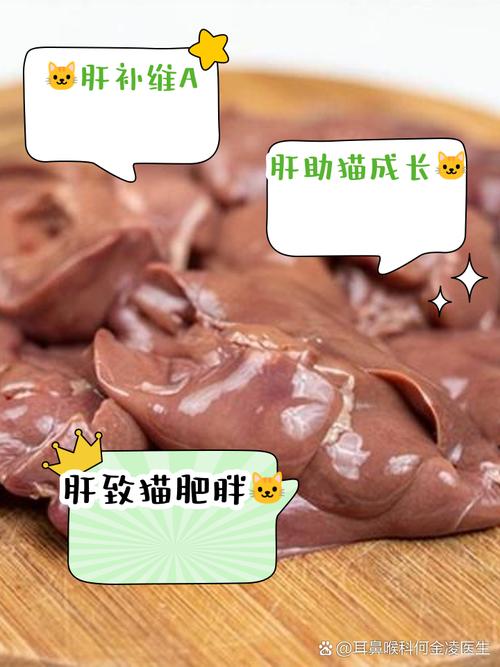 猫生孩子能不能吃猪肝