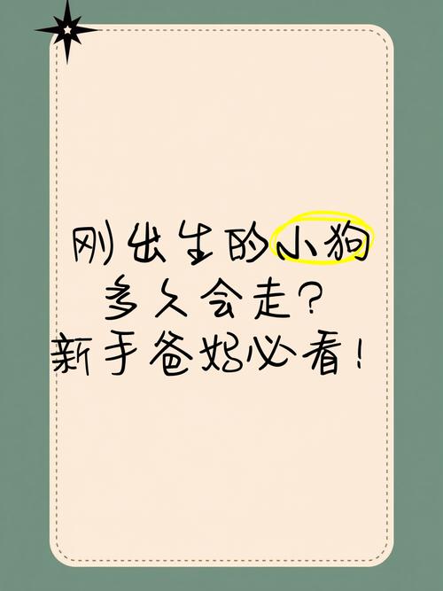 小狗狗什么时候会走路