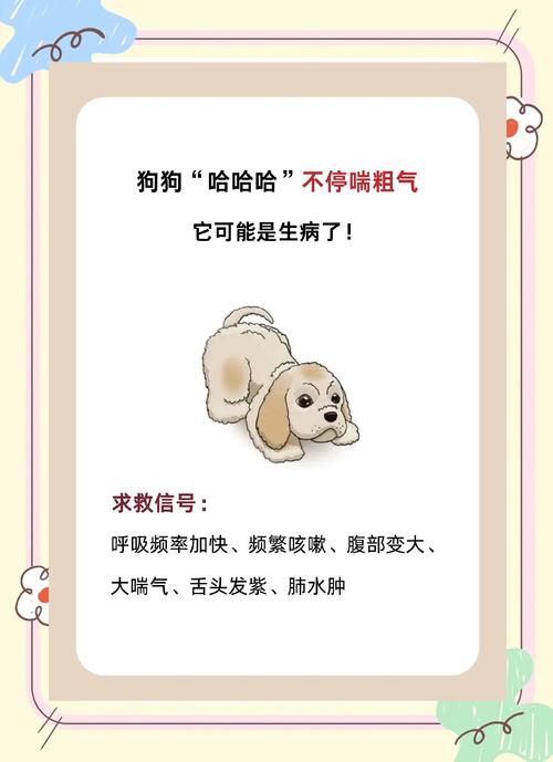 狗狗没精神,趴着不肯动还总是大喘气,什么原因?