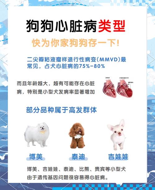 狗狗总是“哈哈”的喘气,是怎么回事啊?