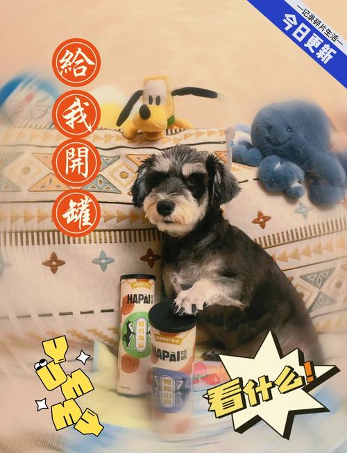 狗狗能不能吃薯片