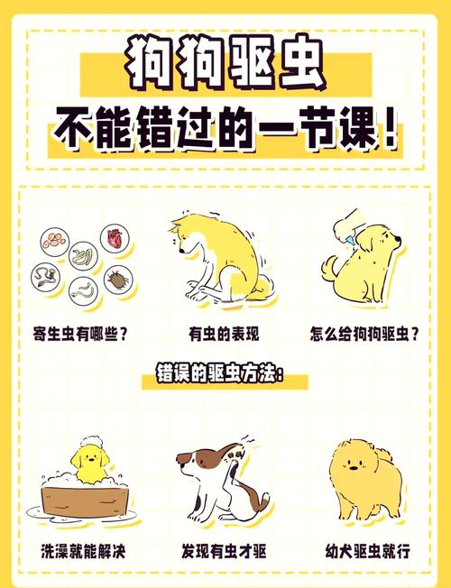 狗狗多久驱一次虫?