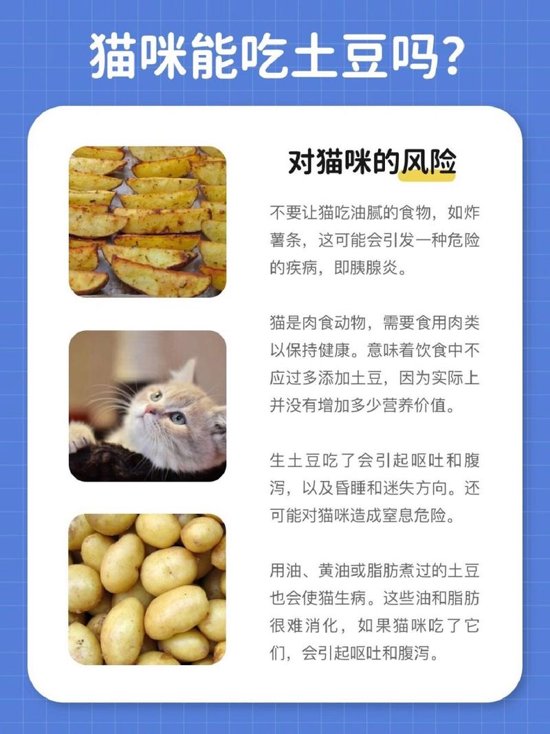 猫咪为什么不吃土豆了