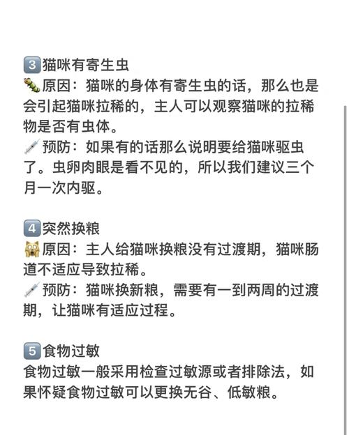 猫咪拉稀但精神很好是怎么回事
