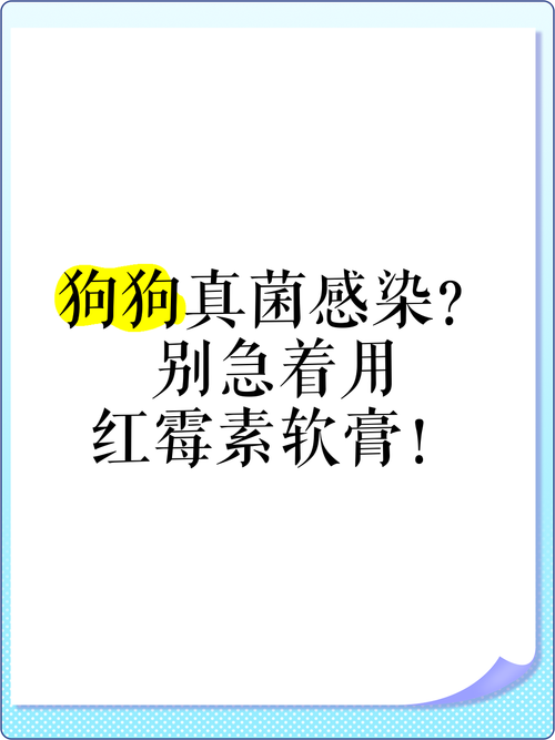 狗狗耳朵发炎可以涂红霉素软膏吗?