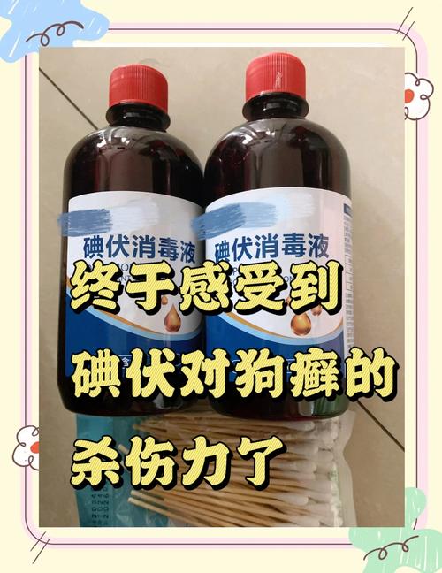 狗真菌感染时使用什么药好得快