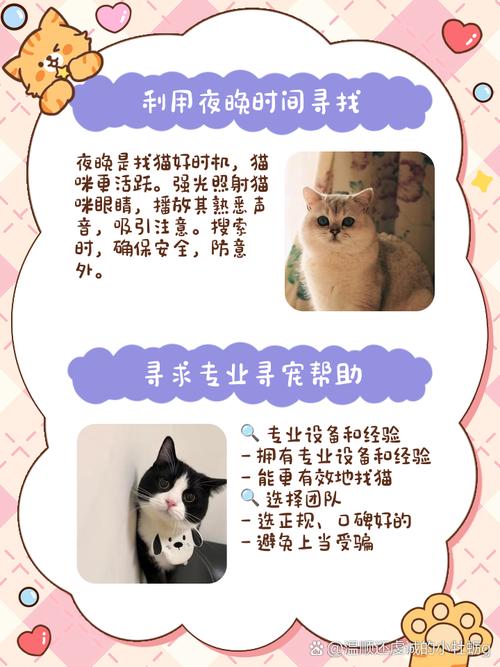 猫找回来还会认主人吗