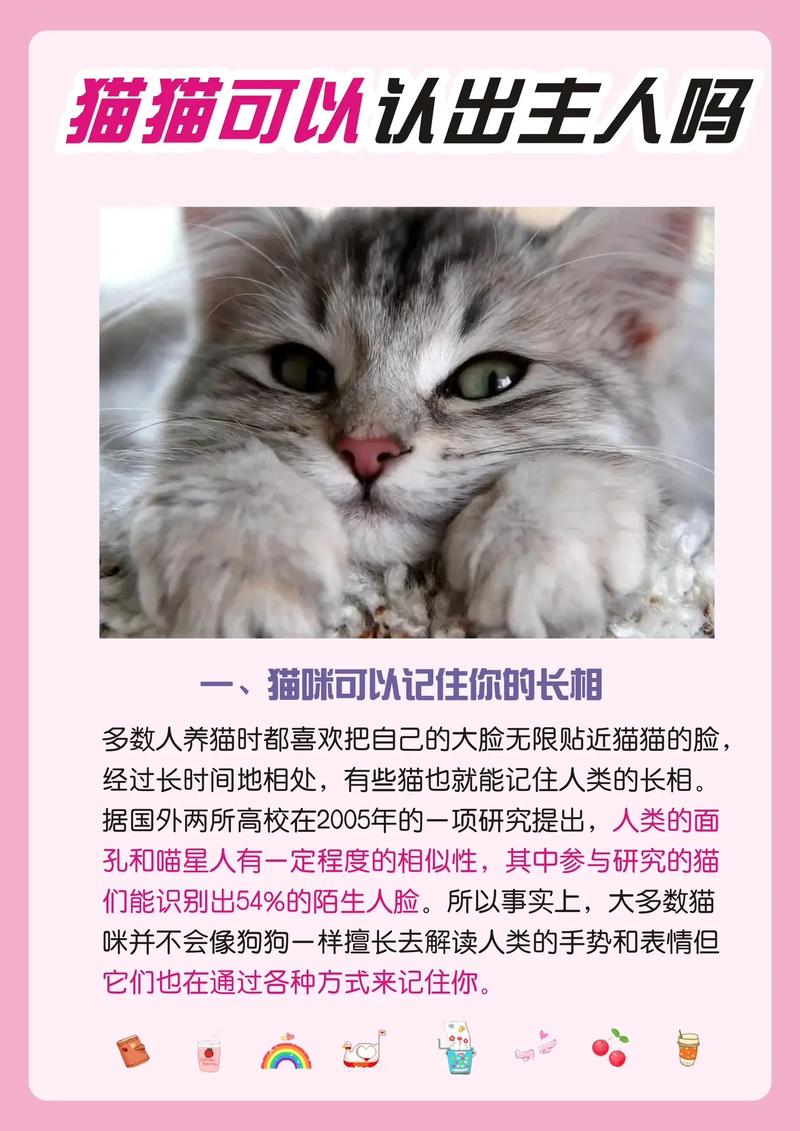 猫咪真的会认主人吗