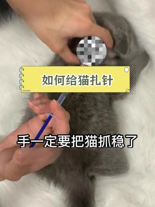 猫咪预防针怎么打