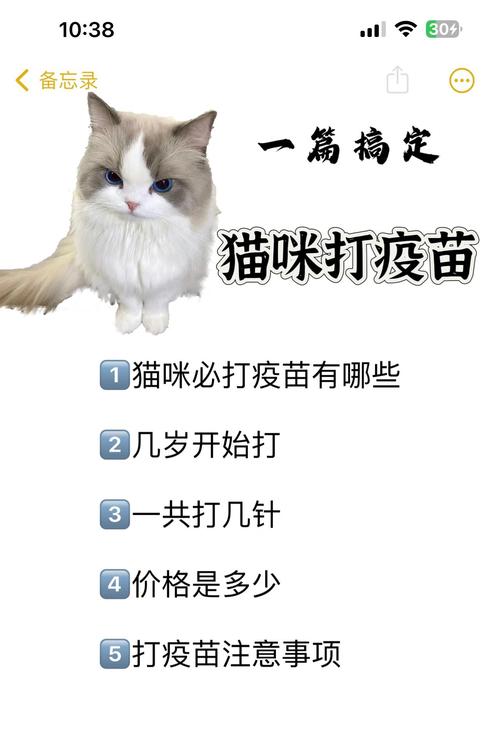 猫咪需要打什么针