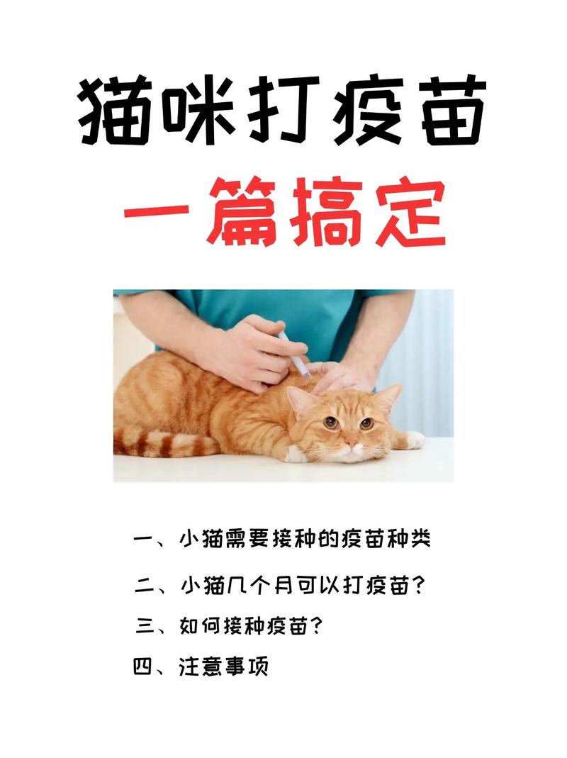 如何给猫打疫苗