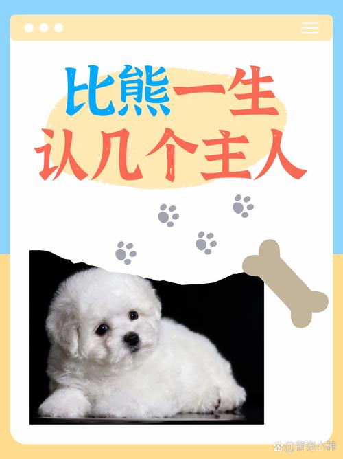 狗狗到底能认几个主人呢