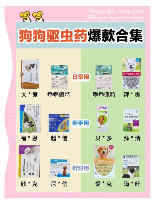 狗狗去宠物店驱虫多少钱?