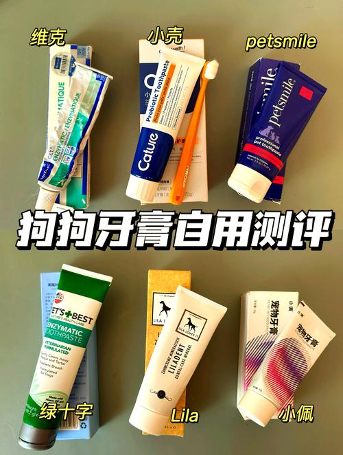 给狗用人的牙膏刷牙了怎么办?