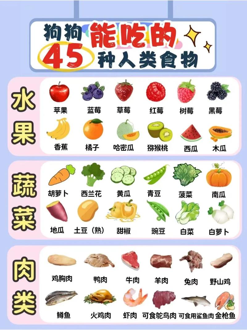 狗狗能吃什么人类食物
