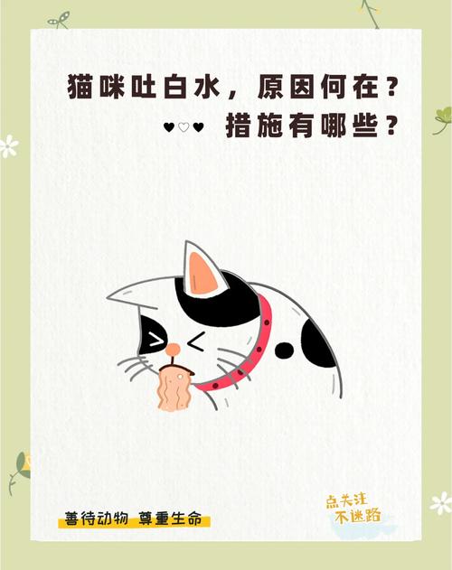 猫咪口吐白沫呼吸困难该怎么办?
