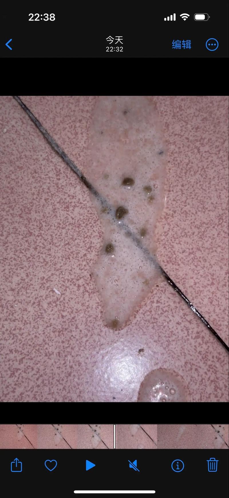 猫咪吐白沫但是精神很好