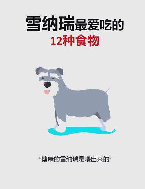 普通狗狗能吃什么