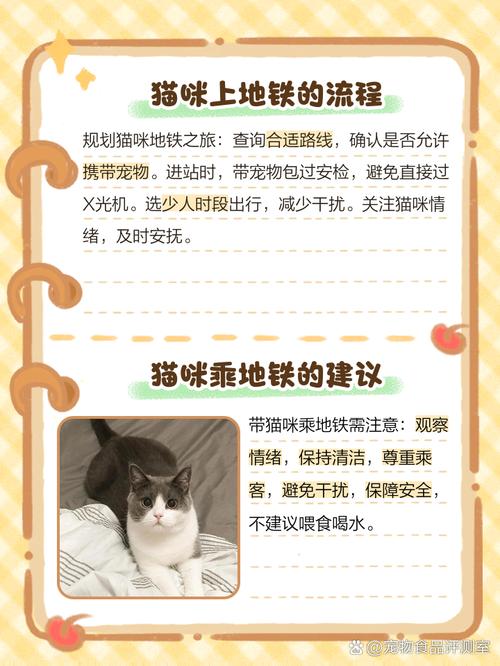 把猫咪放猫包里可以上地铁吗?有什么依据?
