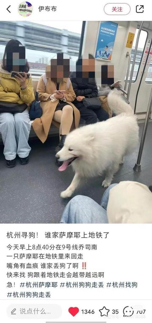 用航空箱可以将狗狗带上地铁吗