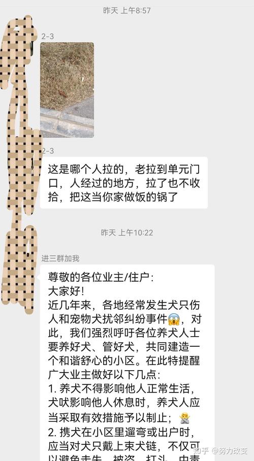 小狗放在包里能上地铁吗?狗狗怎么坐地铁?