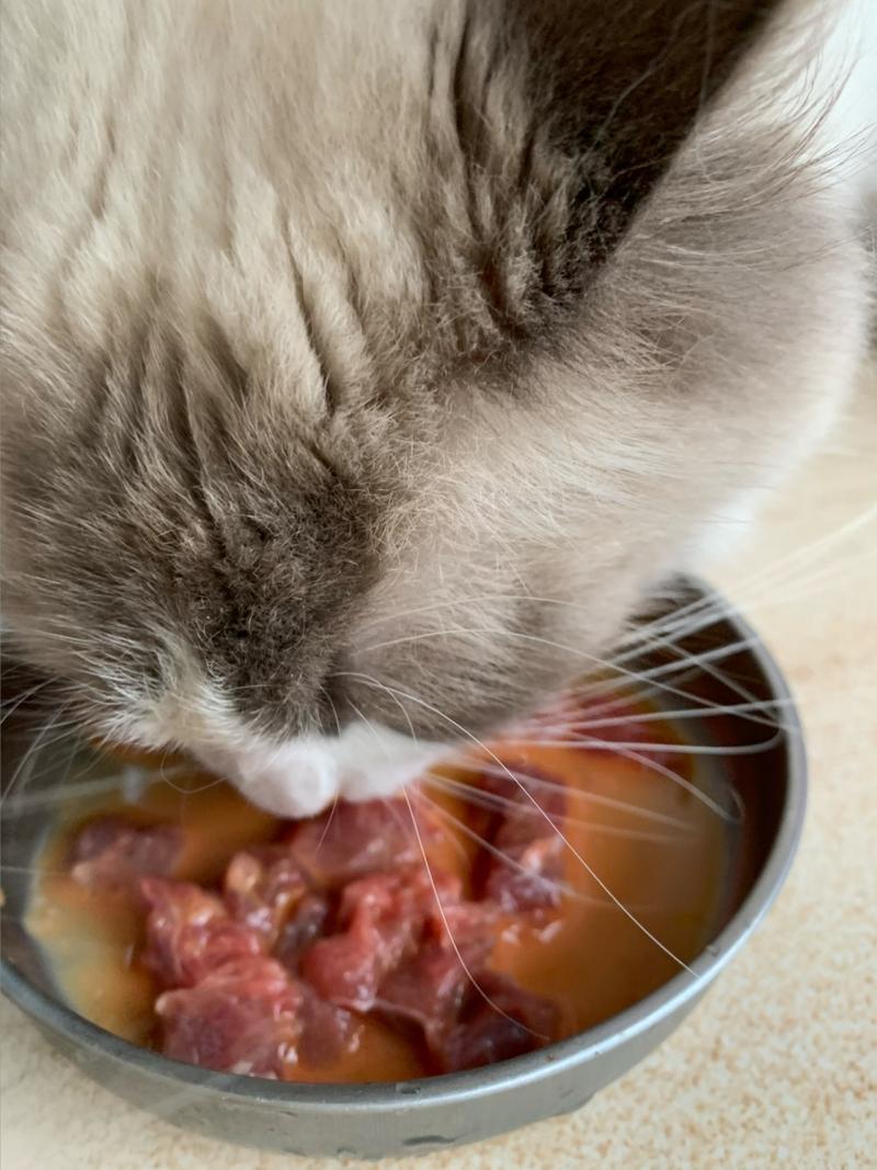 猫吃牛肉会怎么样?