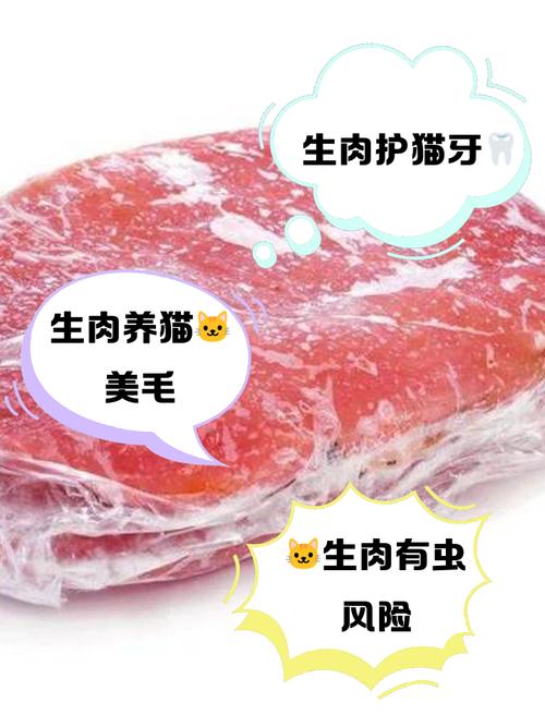 猫吃生牛肉好吗