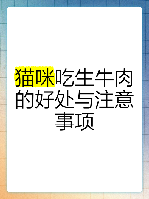 猫可以吃生牛肉吗