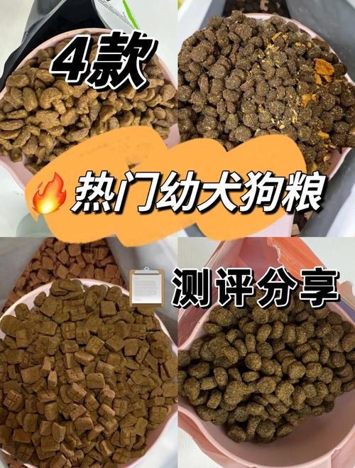 三个月大的狗狗吃什么