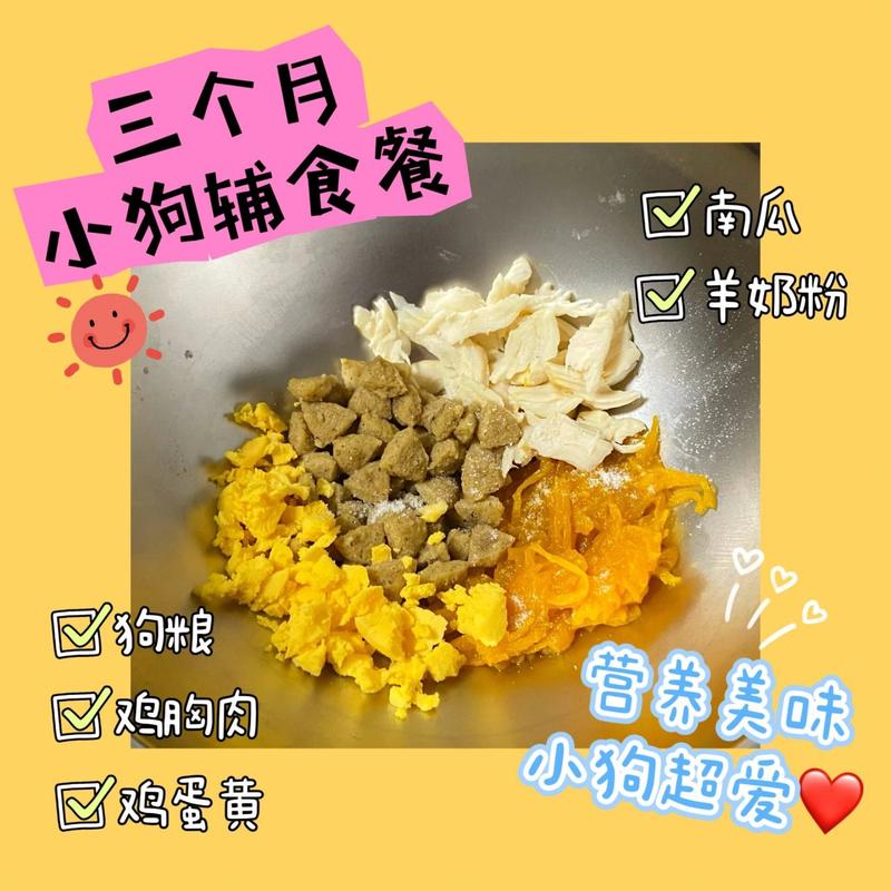 三个月大的狗狗吃什么好?