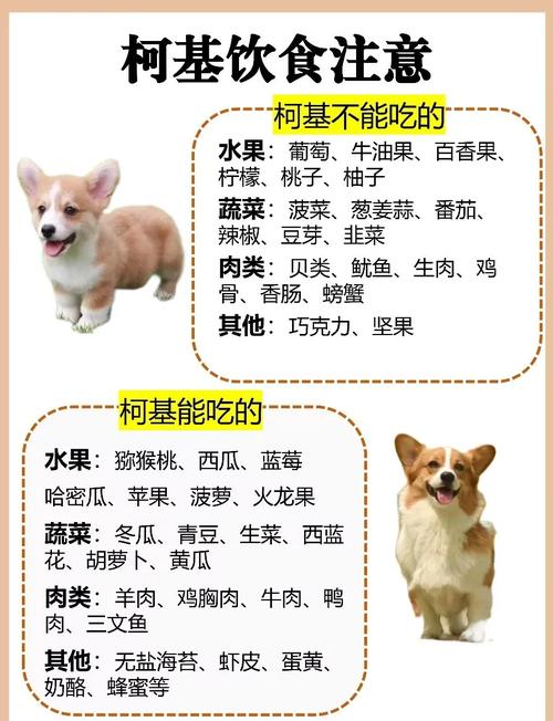 狗狗可以吃哪些水果?