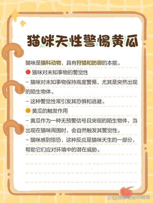 小猫为什么会害怕突然出现的黄瓜?