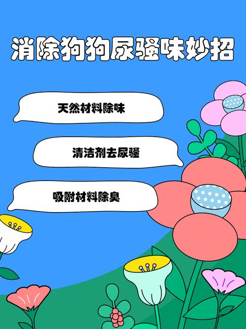 教你如何去除家里的狗狗“尿骚味”