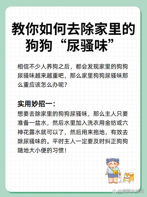 怎样去除地上的狗尿味