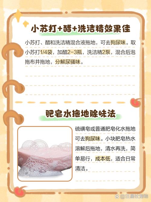 怎样去除家里的狗尿味