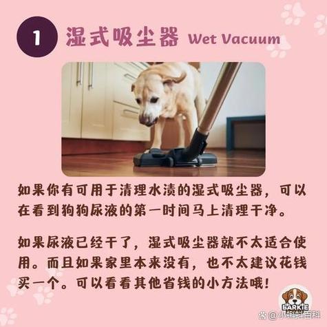 狗尿骚味最怕三个东西