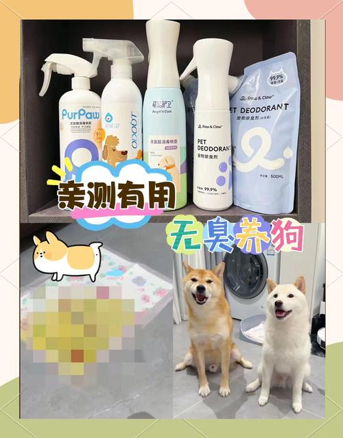 如何去除狗狗的尿骚味