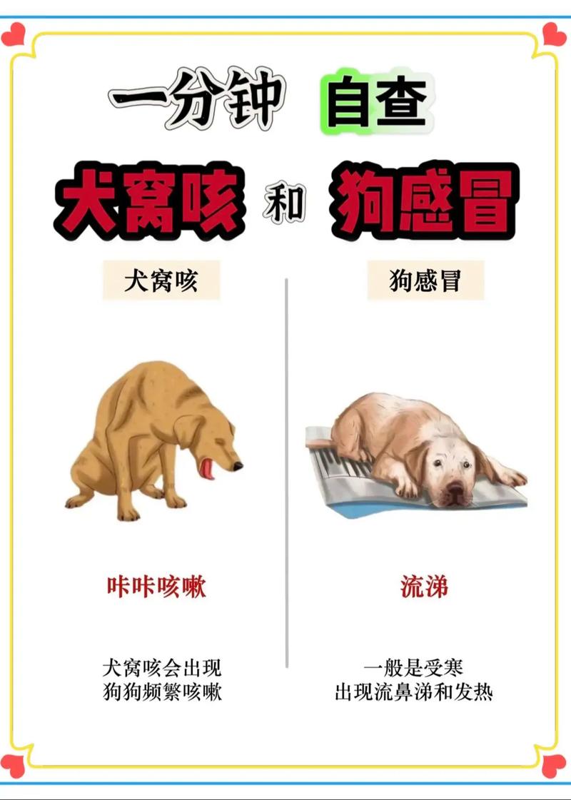 狗狗流黄鼻涕能自愈吗