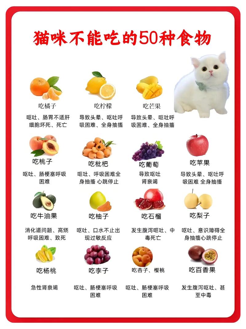猫咪可以吃甜食吗?